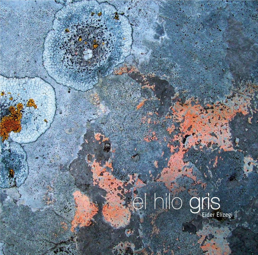 Libro El hilo gris
