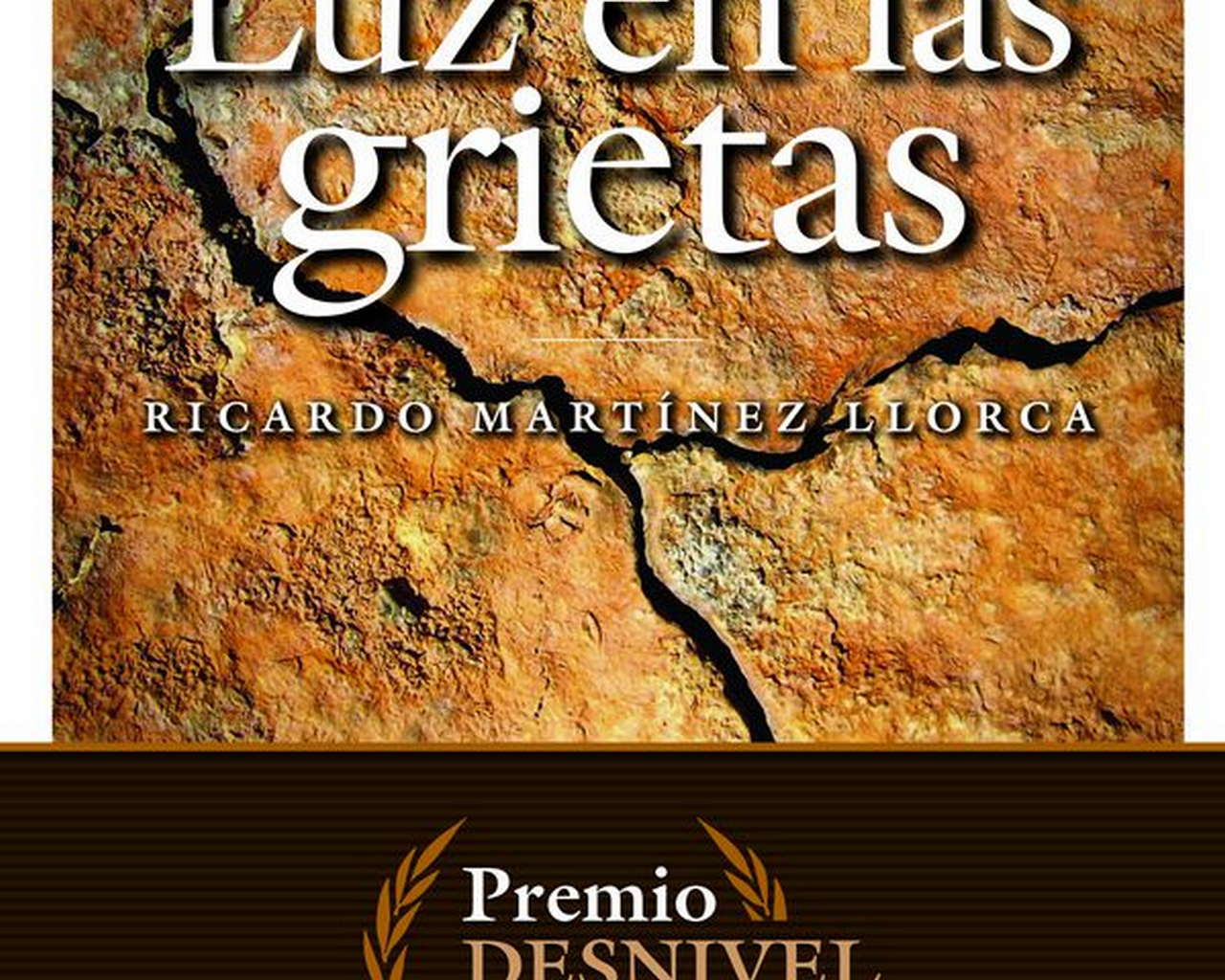 Luz en las grietas. Premio desnivel de Literatura 2016 por Ediciones Desnivel